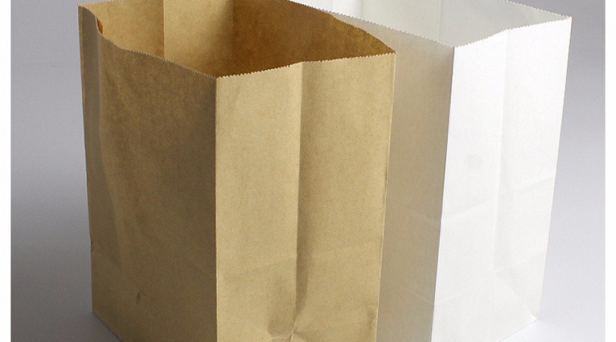 biodegradable paper bags